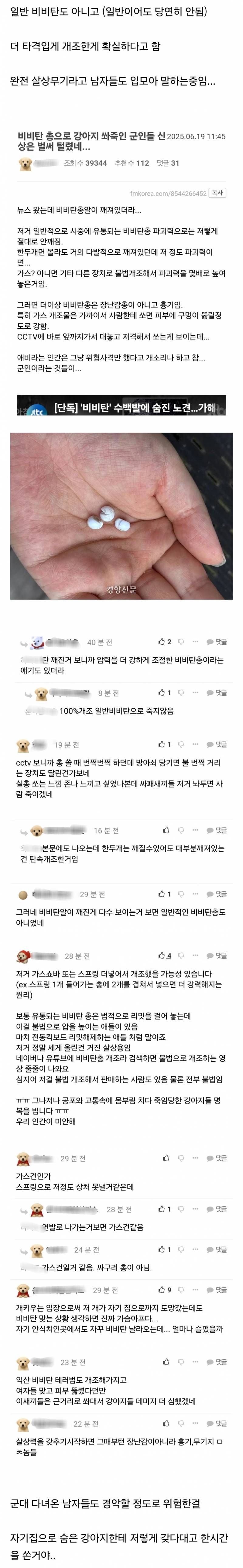 강아지한테 비비탄 쏜 사건 난리난 이유.jpg