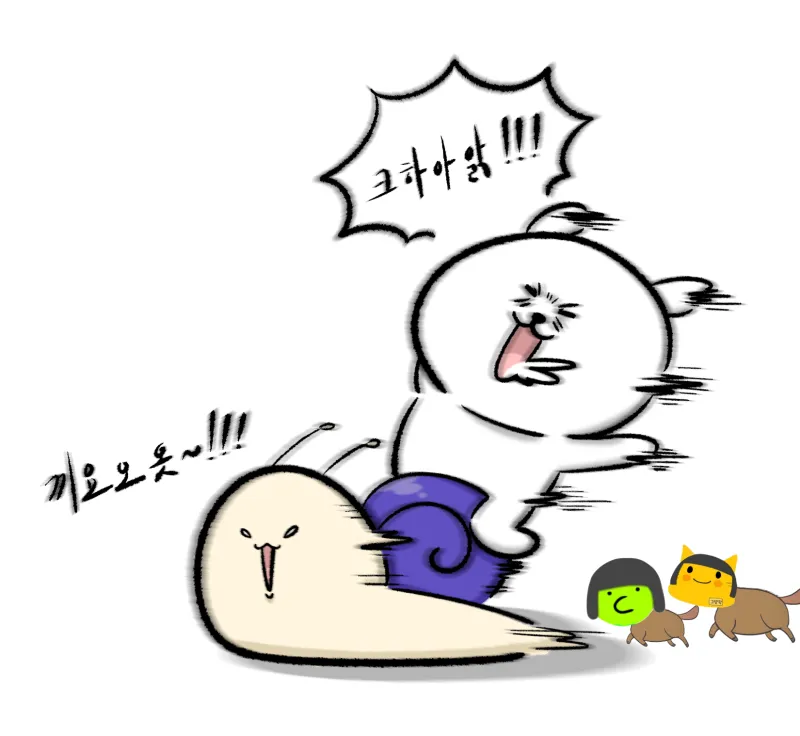 🐶 보더콜리의 활동량을 감당 못하면 생기는 일.mp4